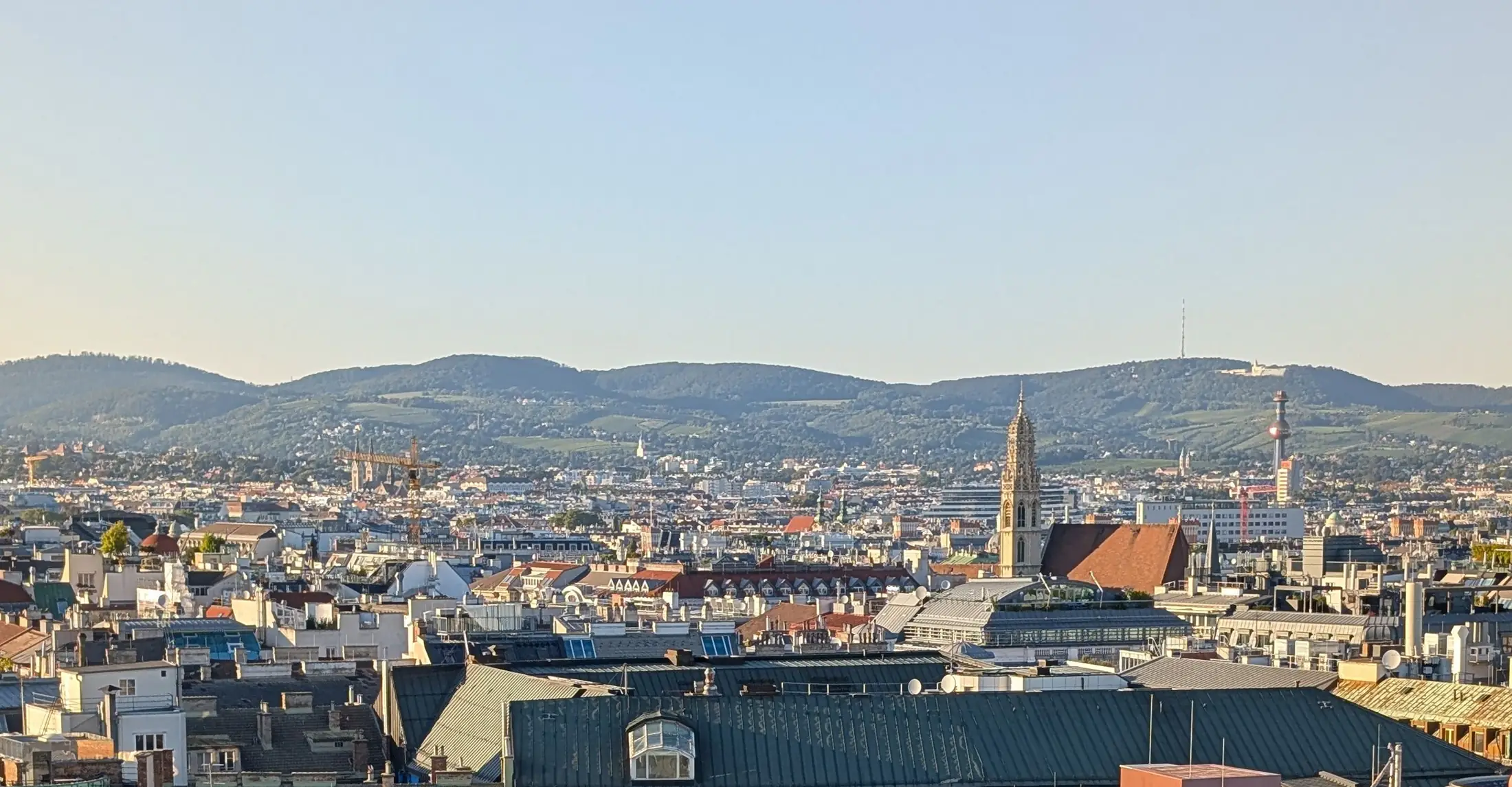 Blick über die Dächer der Wiener Innenstadt bis zum Wienerwald.
