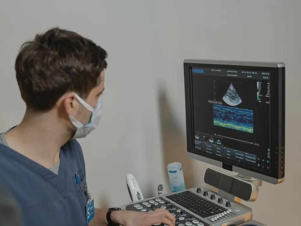 Tierarzt mit Mundschutz am Ultraschallgerät, auf dem Monitor das Schallbild